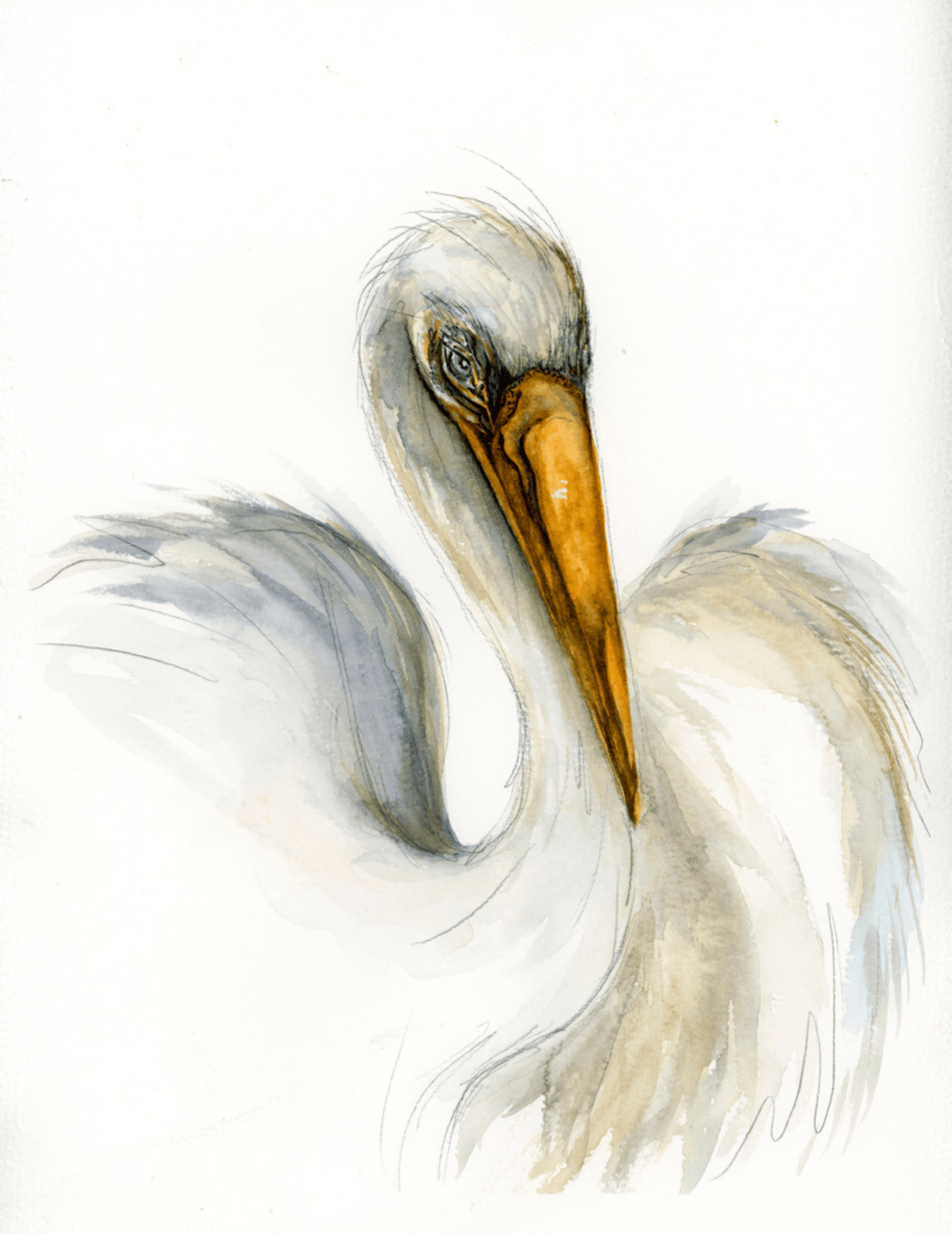 "Single Egret"