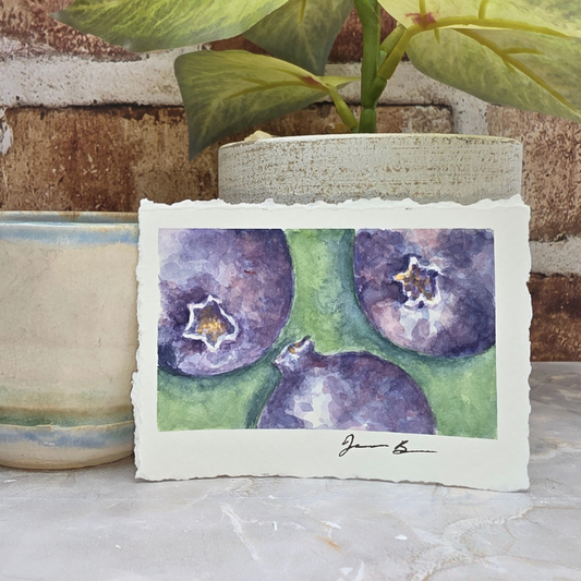 Blueberry Dream 2