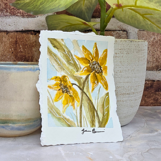 Sunflower in the Shade