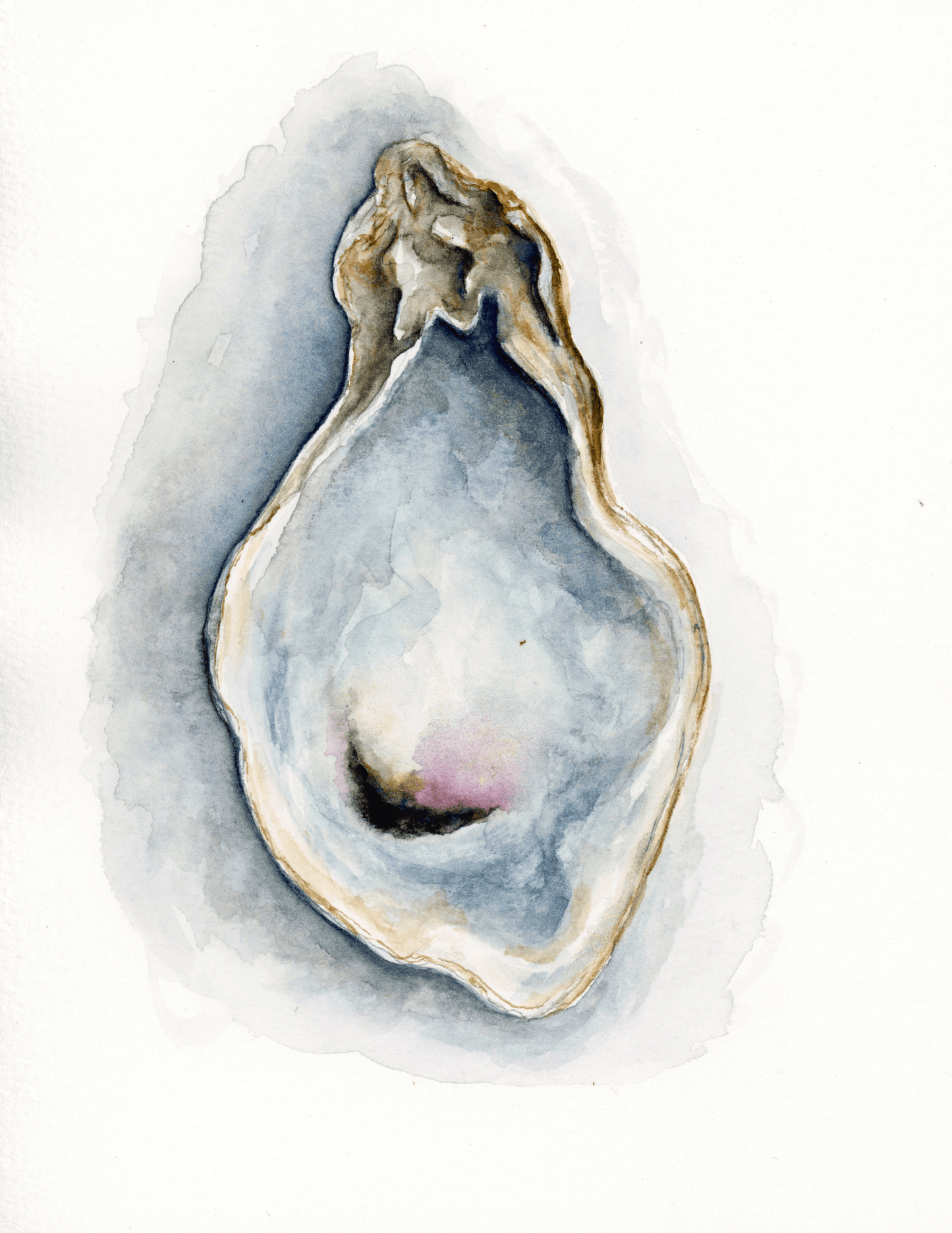 "Oyster 3"