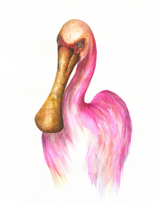 "Spoonbill"