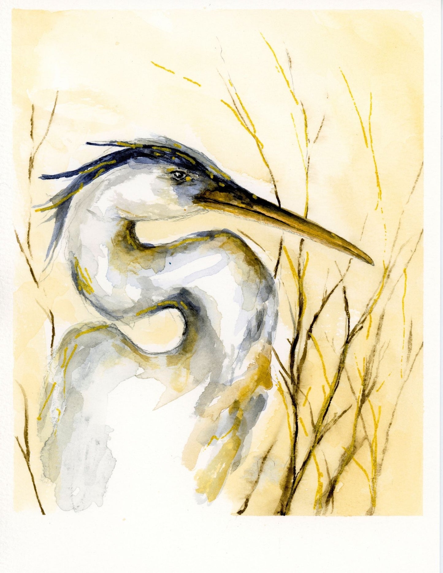 "Blue Heron in the Sun"