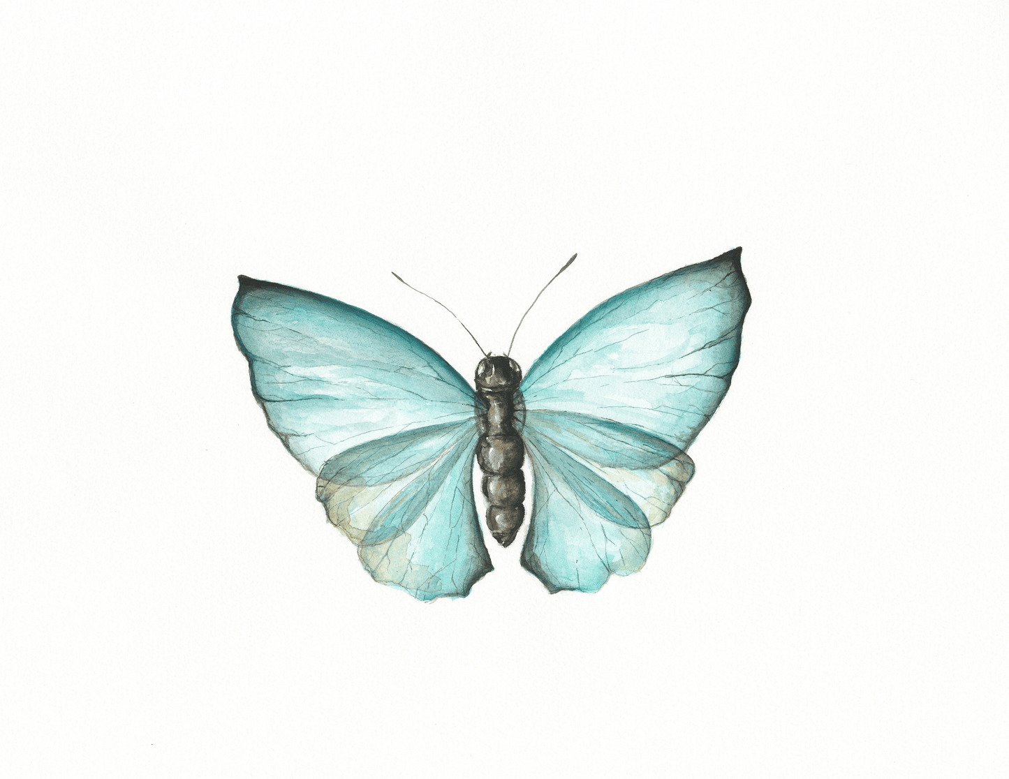 "Butterfly Calm"